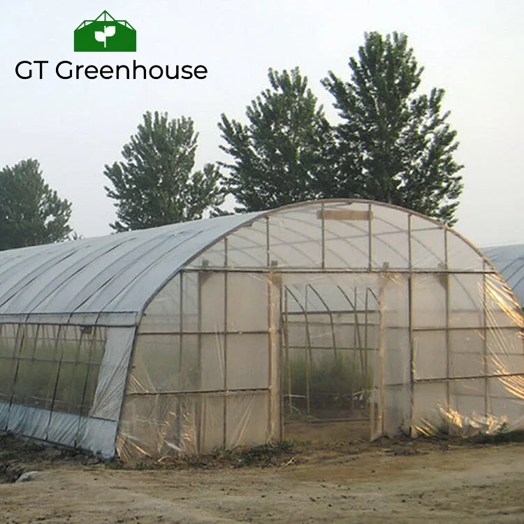 Agricultural product plastic house tunnel Greenhouse For Agriculture Invernaderos China