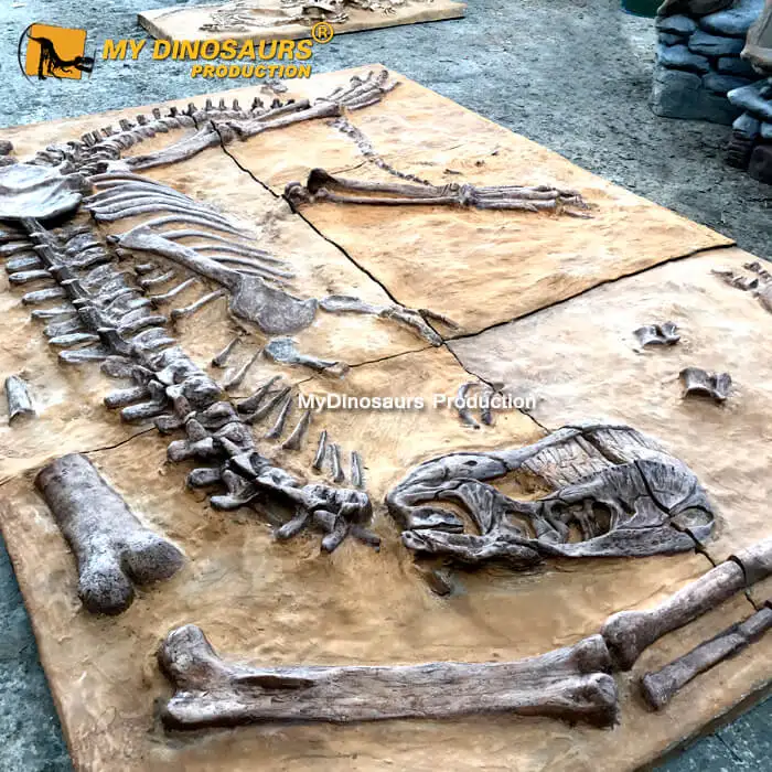 My Dino DS-018 Artificial Tyrannosaurus Rex Dinosaur Dig Site Fiberglass Fossil for Sale