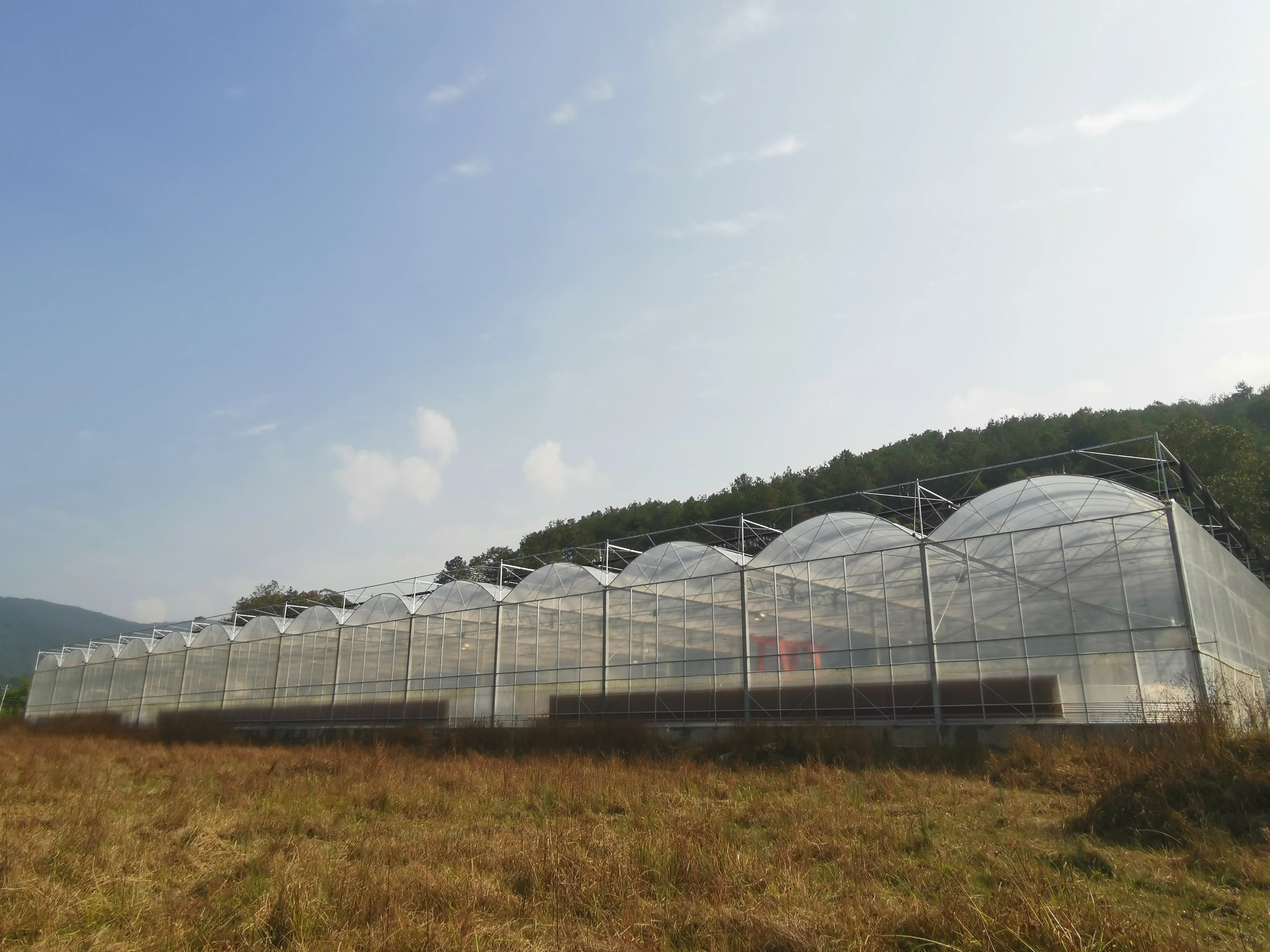multi span film green house greenhouse structure commercial used greenhouse frames for sale