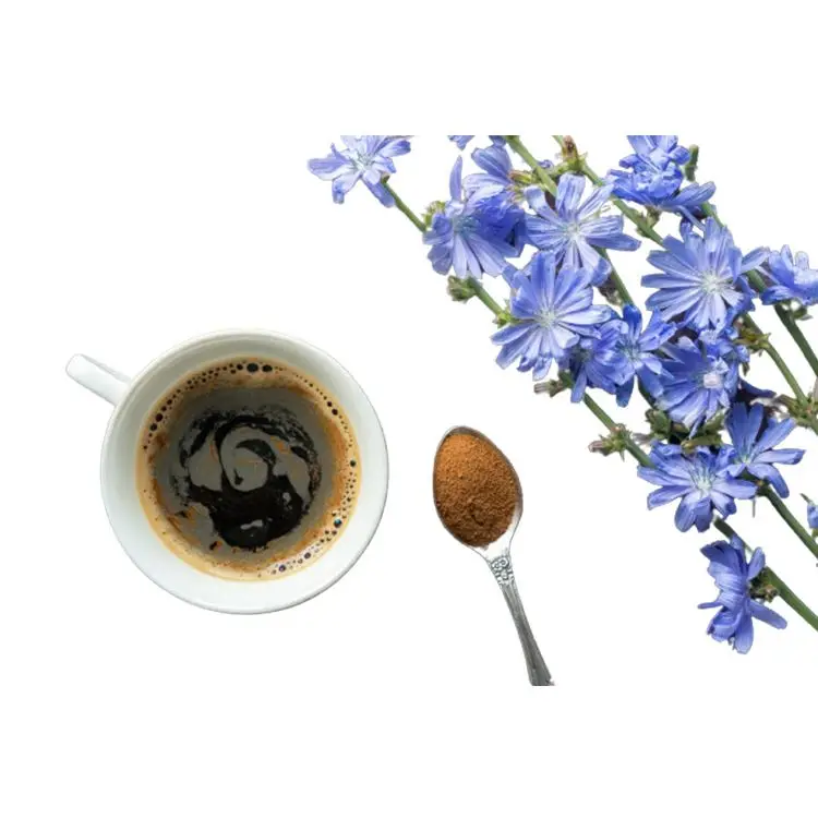 Best Seller Natural Herbal Root Powder Extract Chicory