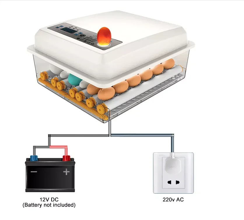 Wholesale Low Price Fully Automatic Chicken Egg Incubator Hatching Machine with 12 V /220V