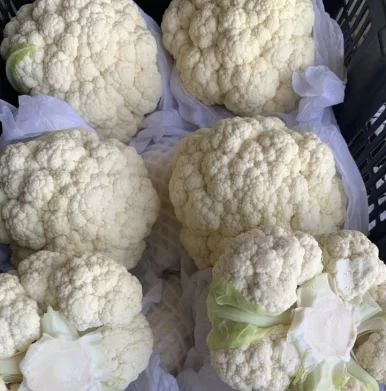 Низкая цена, овощи, натуральная свежая капуста, новый урожай, белая капуста хорошего качества