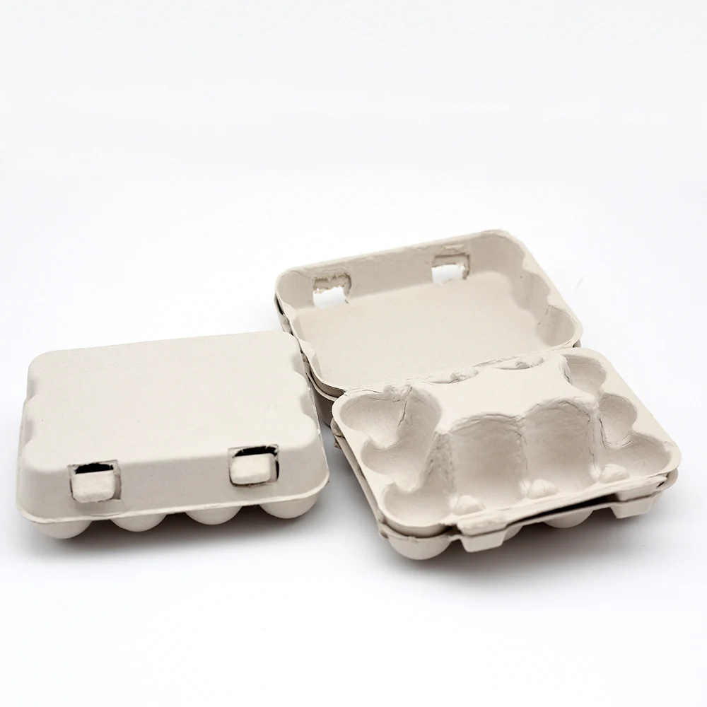 Customized Environment-Friendly Egg Tray Carton with Cover Pulp Moulding 12 20 Eggs Carton/Tray/Box