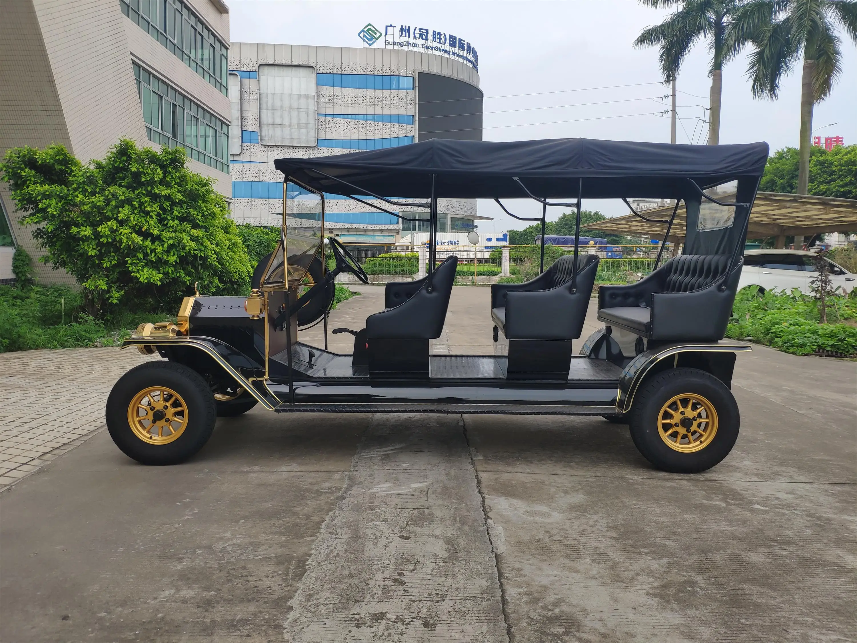RARIRO Vintage Electric Golf Cart from Chinese Factory Economical Powered Sightseeing Bus & Car