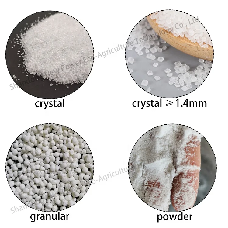 High Purity ammonium Sulphate Fertilizer Of caprolactam Grade for agriculture Using	inorganic Chemicals