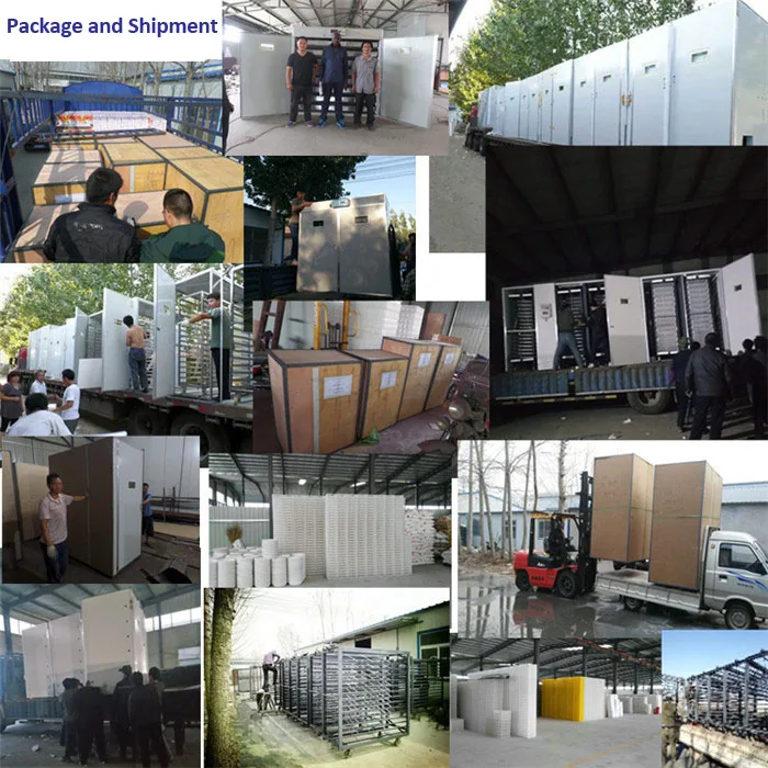 Automatic Egg Incubator Chicken Incubators Poultry Hatcher Incubators