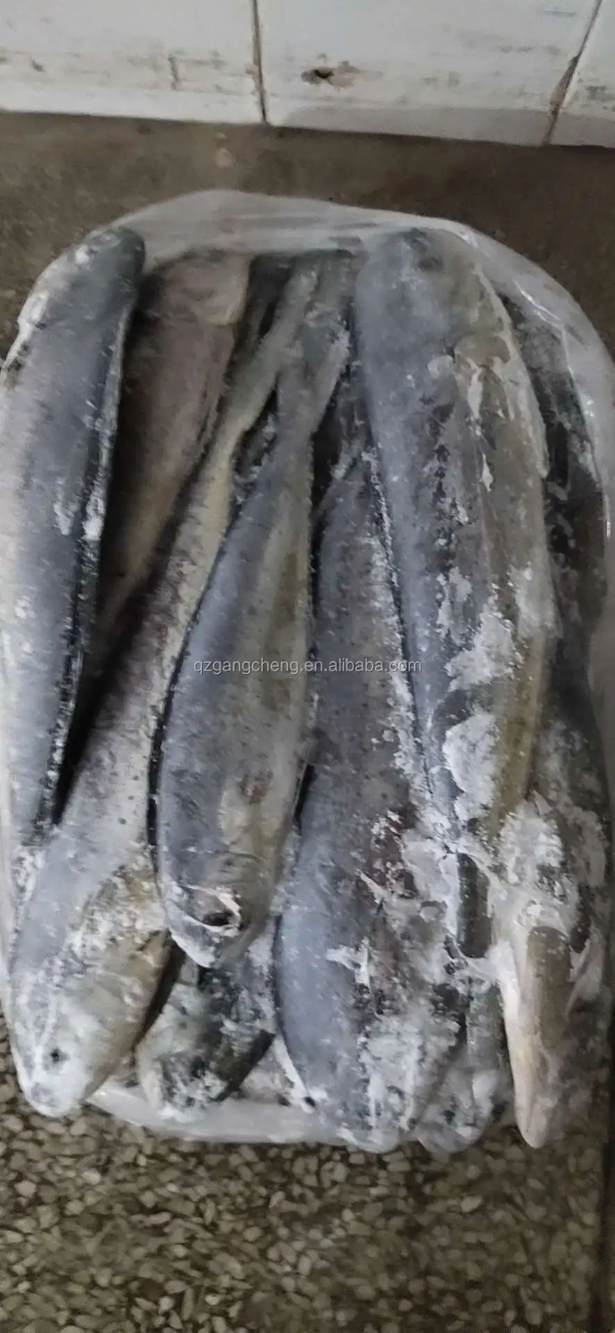 Pacific Mackerel Seafood fish fresh frozen  8/10pcs  Philippines cheap