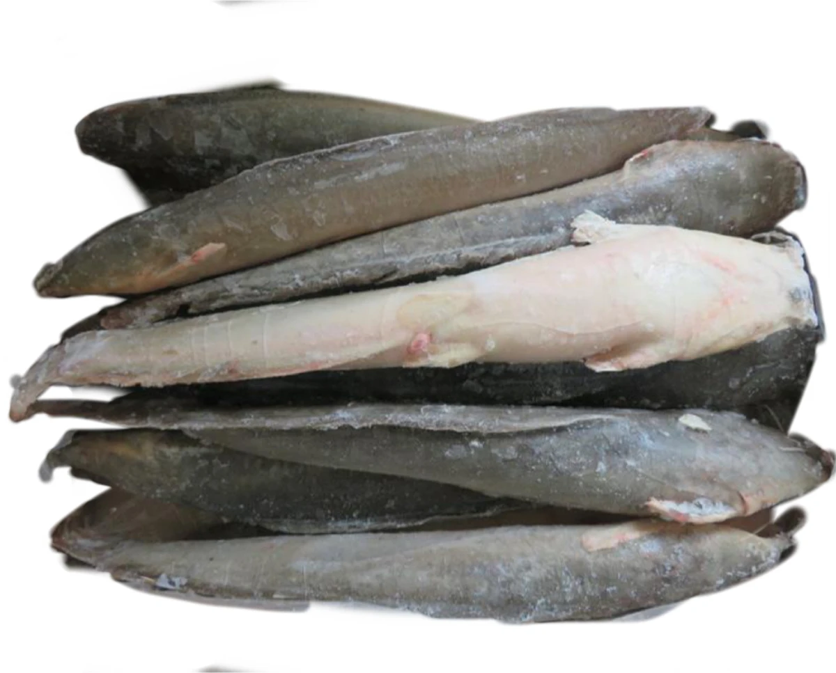Whole Sale African Seafood Frozen Catfish Ikan Smoked Whole Catfish