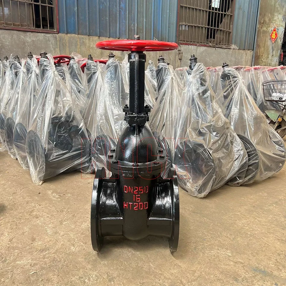 Z41T PN16 Manual Cast Iron Gate Valve Open Stem Wedge gate valve DN250 HT200 Copper Stem Cast Iron Flanged Gate Valve