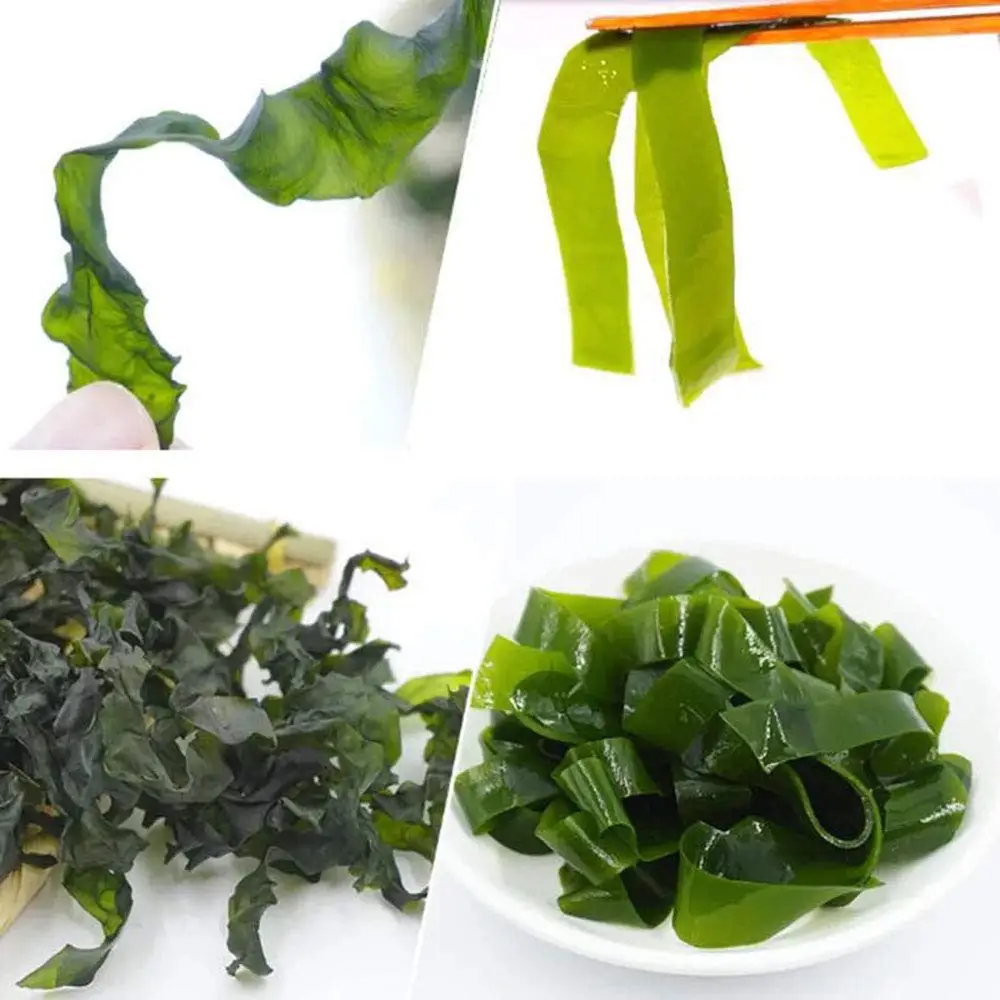 Hot sale Best grade premium kelp Dried kelp dried kombu