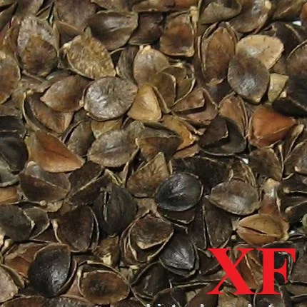 china sale buckwheat husk for pillow roasted buckwheat hulls