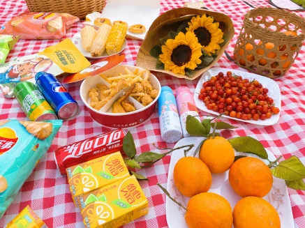 Factory Direct High Quality Polyester Wholesale Foldable Portable Extra Large Striped Waterproof Outdoor Picnic Mat Blanket