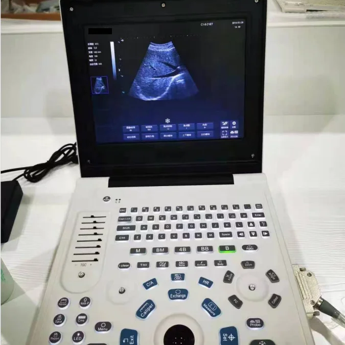 Veterinary ultrasound