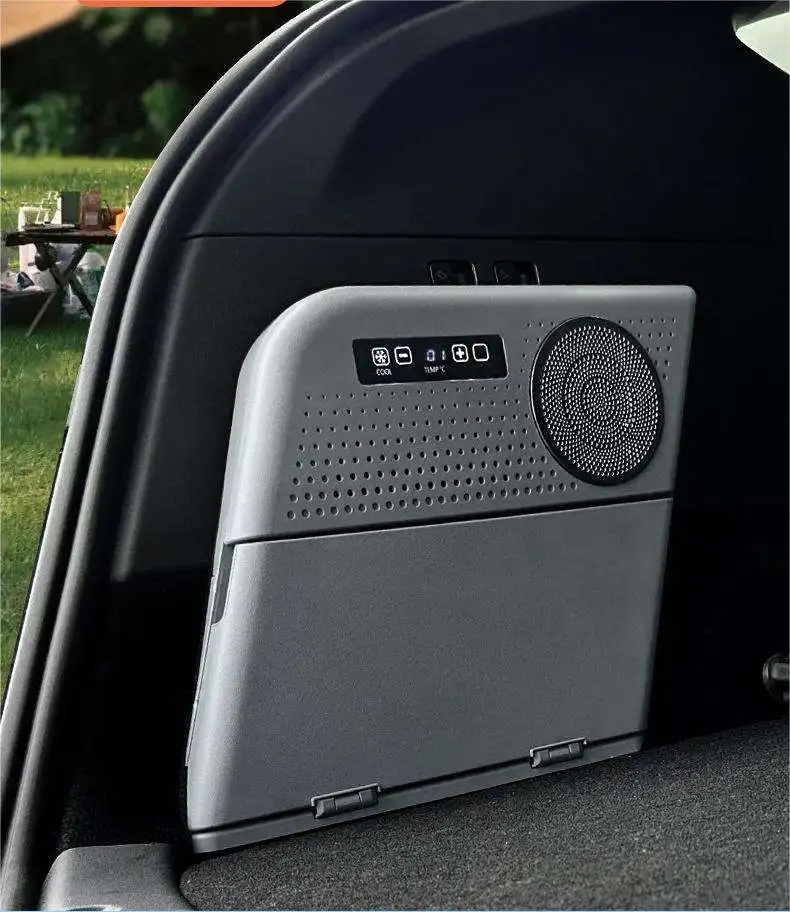 Hot sale Large Capacity Mini car Fridge Compact Cooler and Warmer with AC/DC Temperature Control