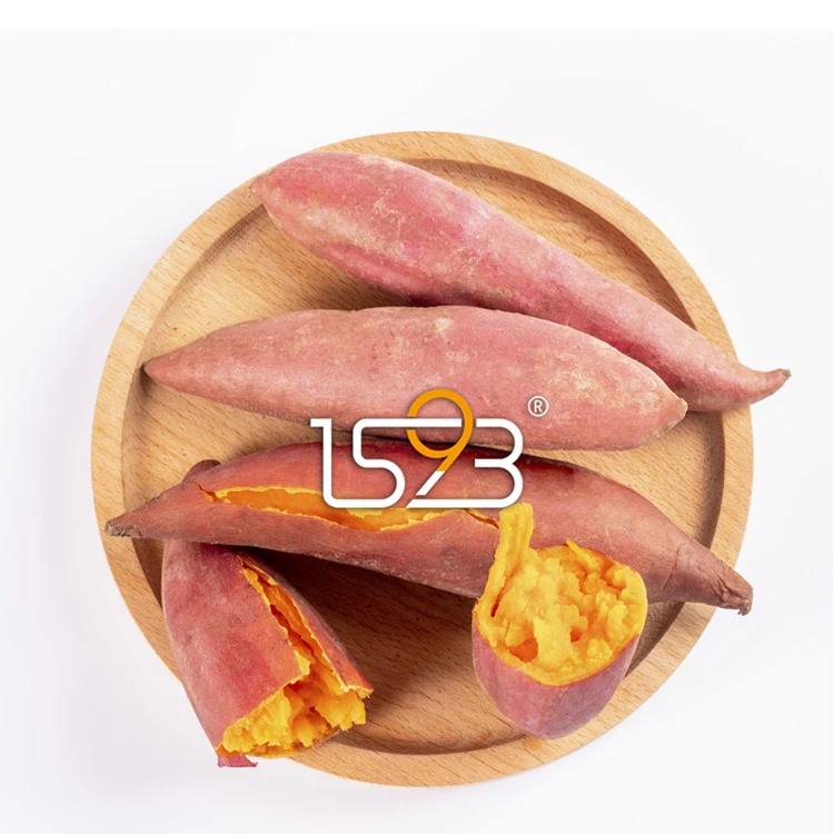 Stable supply throughout the year professional cultivate technology natural organic sweet red potatoes