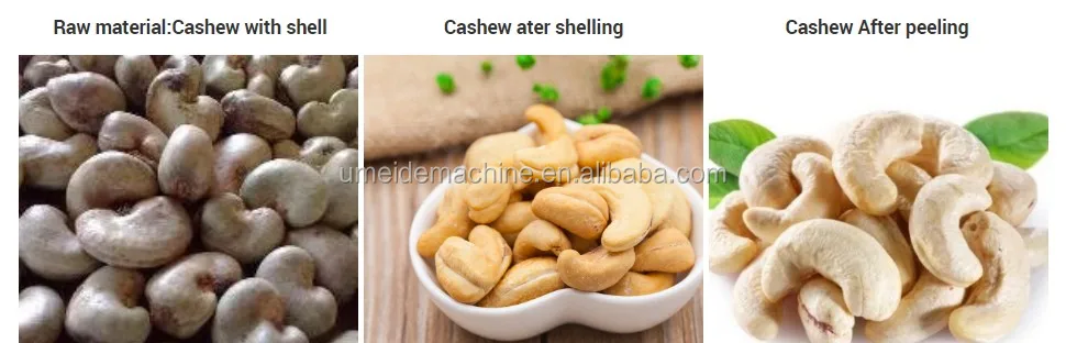 Industrial electric gas heating  continuous  shell nut  peanut roasting oven