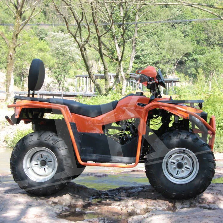 200/300cc 4x4 two-wheel drive off-road motorcycle ATV/UTV farm engine