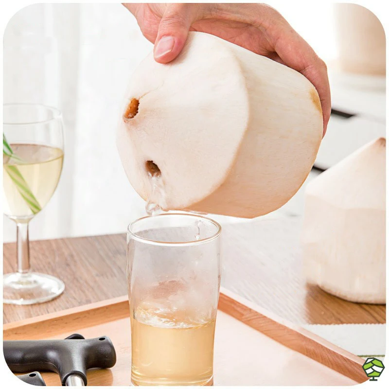  Home Fruit Pitting Tool To Open Coconut Artifact Shell Breaker Hole Nut Punch Drilling Kitchen