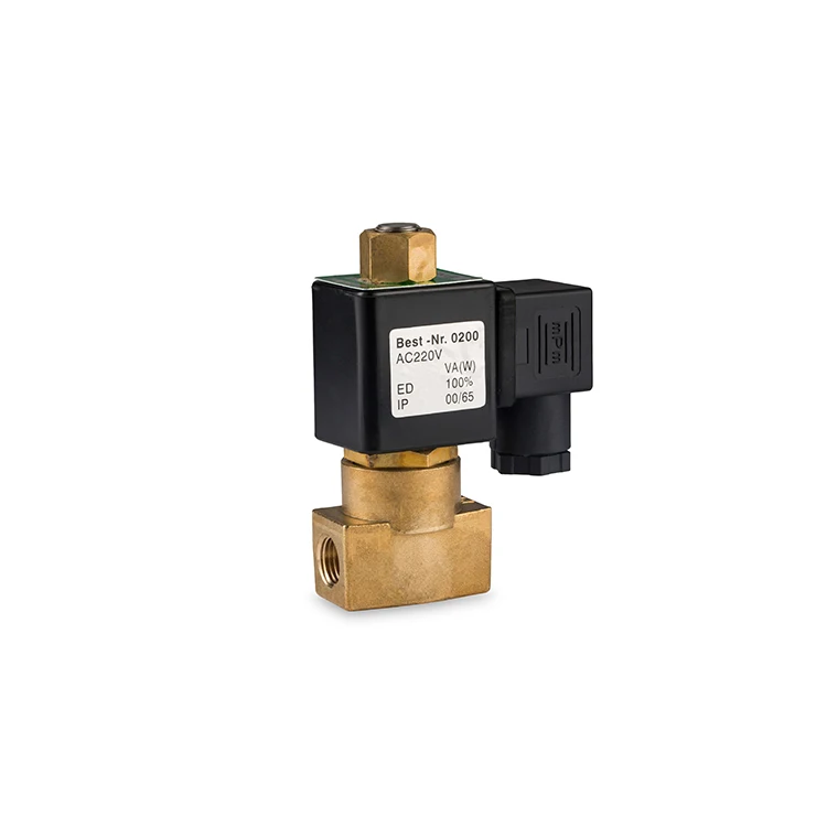 stainless steel brass AC DC copper coil 24v 220v air steam thread G solenoid valve