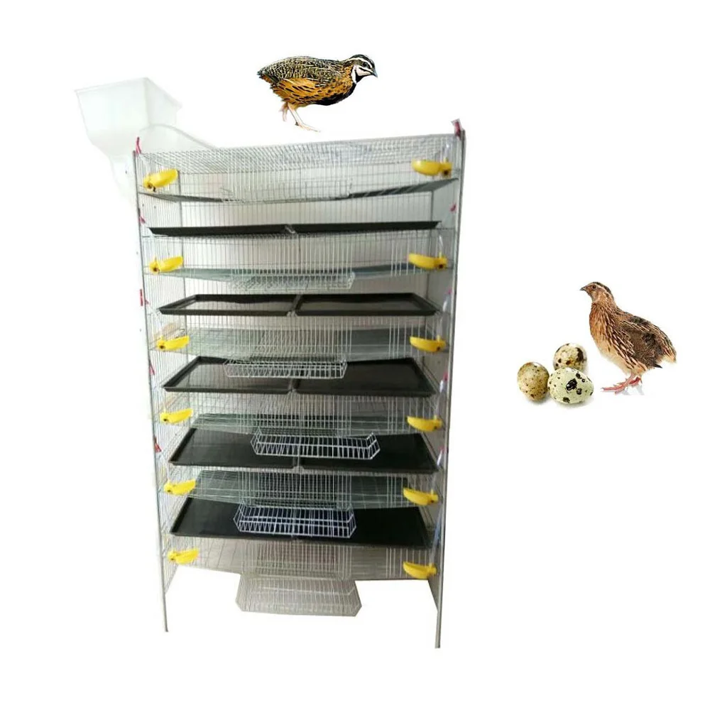 animal & poultry husbandry equipment quail layer cage HJ-QC400A 6 Tiers H type quail cages for egg production