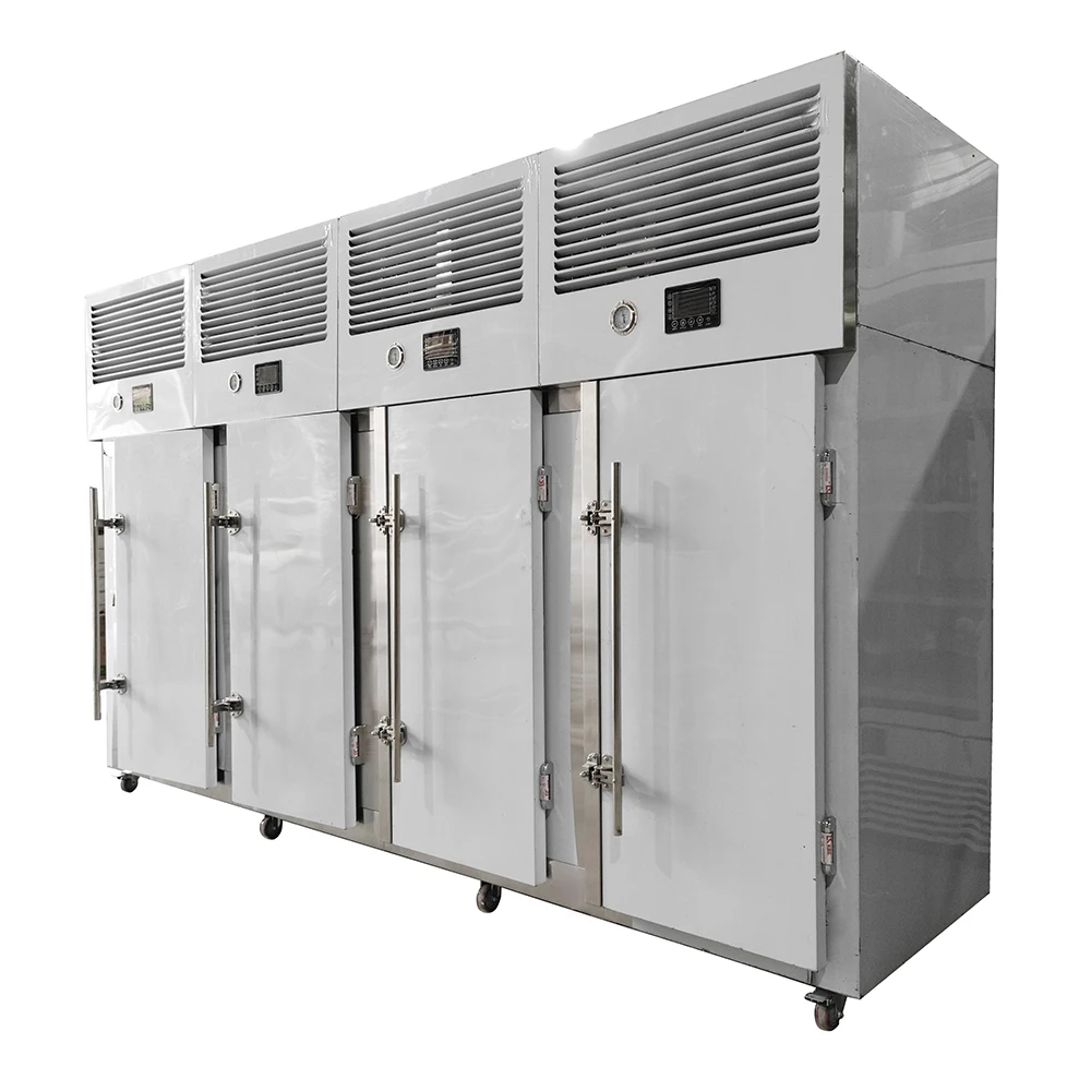 Automatic Fast Freezing Chicken Equipment IQF Mango Machine Blast Frozen Chiller Shock Quick Freezer