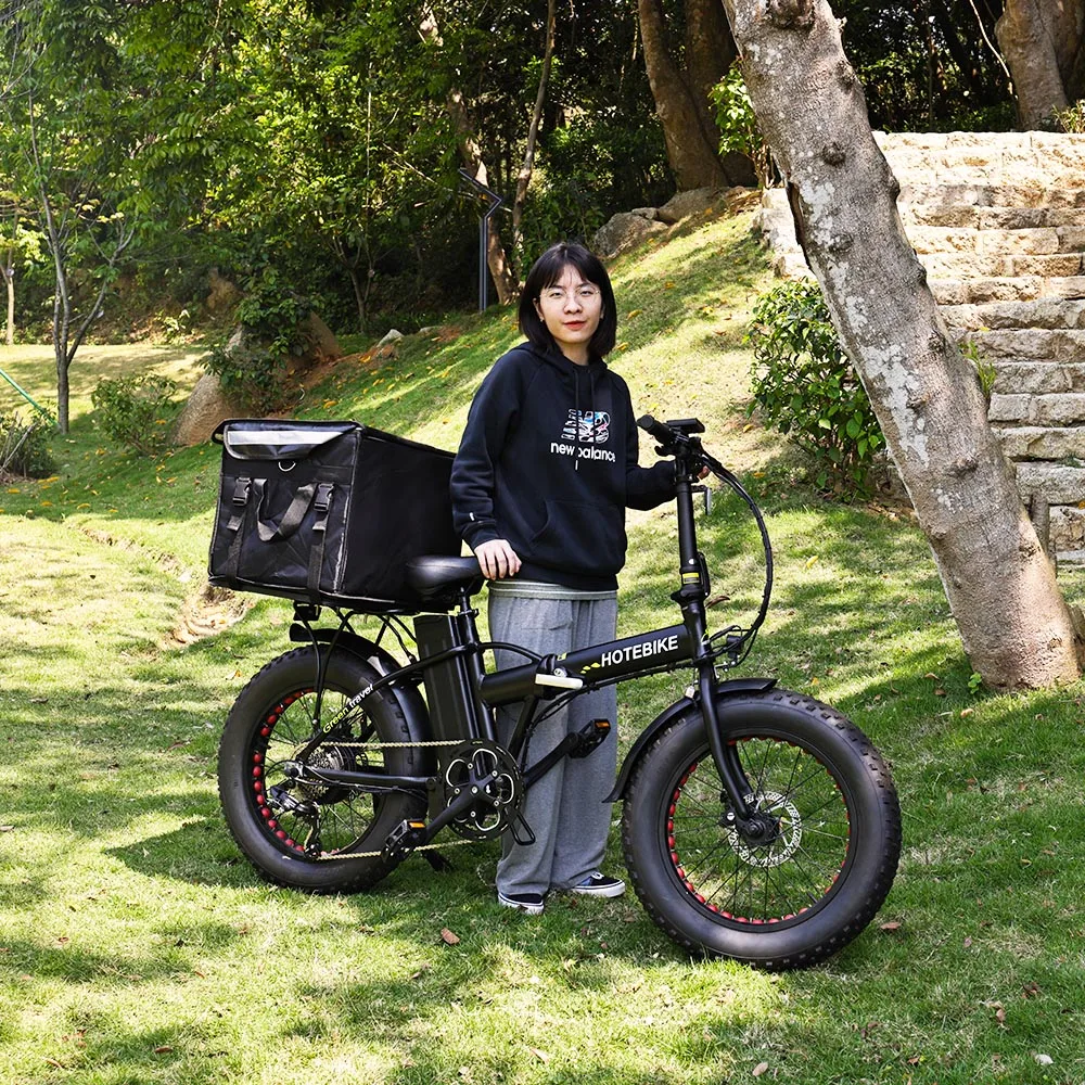 Best Price Fat Dirt Bicycle Batteries For 48V Electric Bike A7AM20 250 350 500W 750W motor foldable ebike