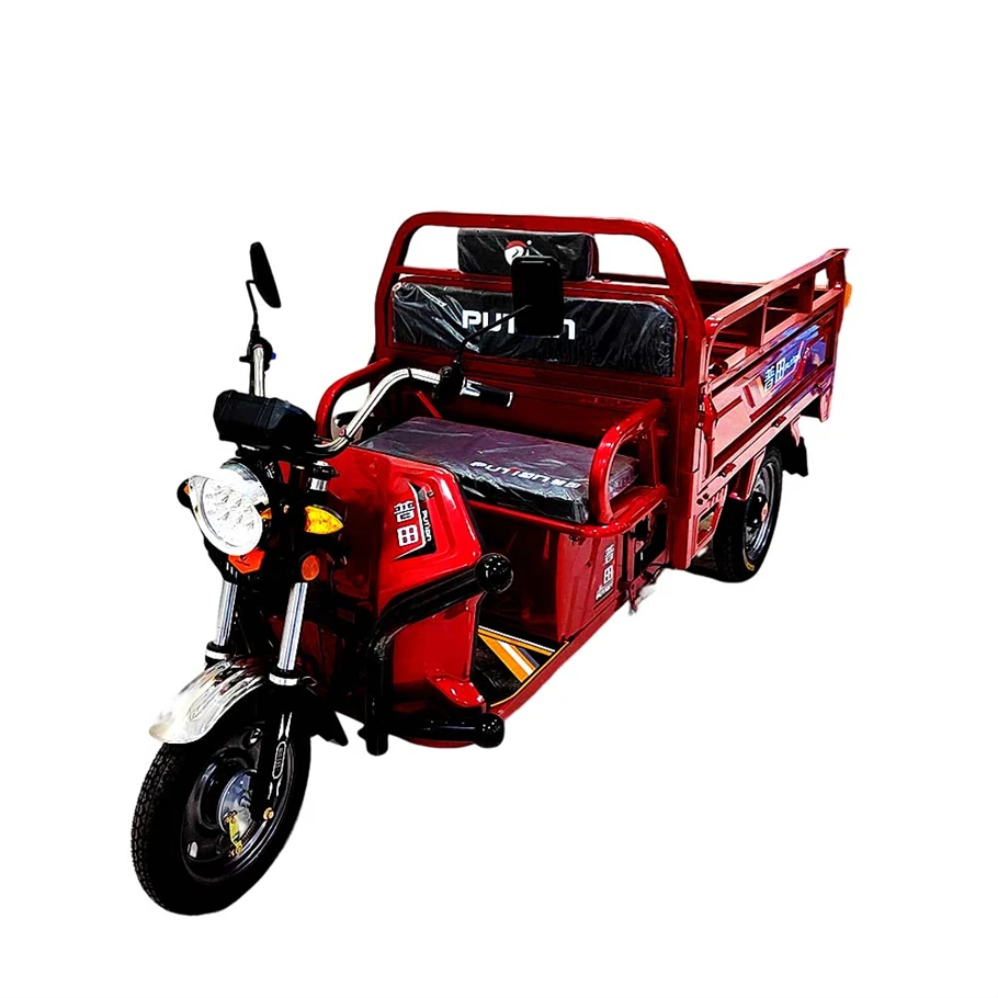 Good Quality Tricycle 3 Wheel Bike Long Braek Disk Mini Closed Cabin Car Adult Cheap 500 Kg Cargo Electric Motorcycle
