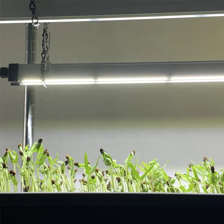 T5 tube connectable clone led vertical farm grow light led for hydroponics leafy green vegetables lettuce growing