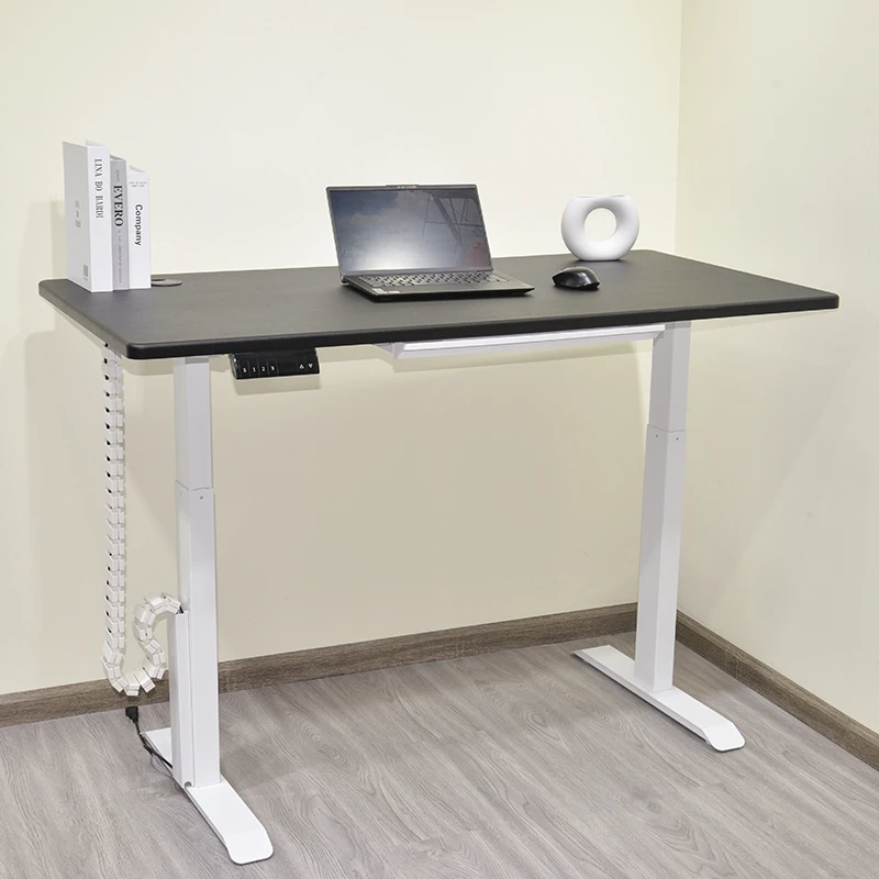 Standing Desks Raise Electric Ergo Sit Stand Height Adjustable Desk