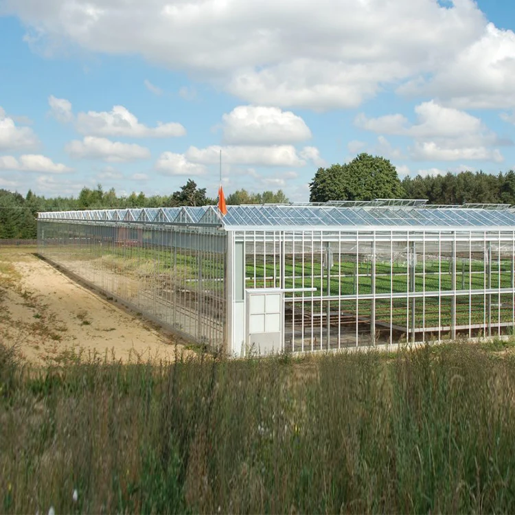 
Multi span glass greenhouse Cheap agriculture multispan greenhouse, commercial greenhouse for cultivation 