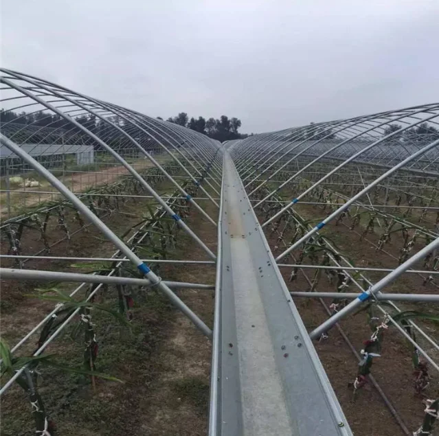 China Low Cost Energy Saving Solar Strawberry Film Multi-span Tunnel Plastic Film Greenhouse For Agricultural