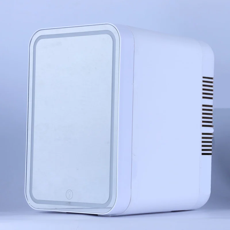 4L Beauty Refrigerator Cosmetic Skin Care Products Mini 110V Portable Built-in Light Car Refrigerator