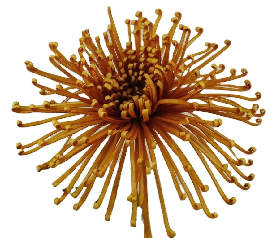 Artificial Foam Fuji Chrysanthemum Mum Pick W/Leaves Foam Flower