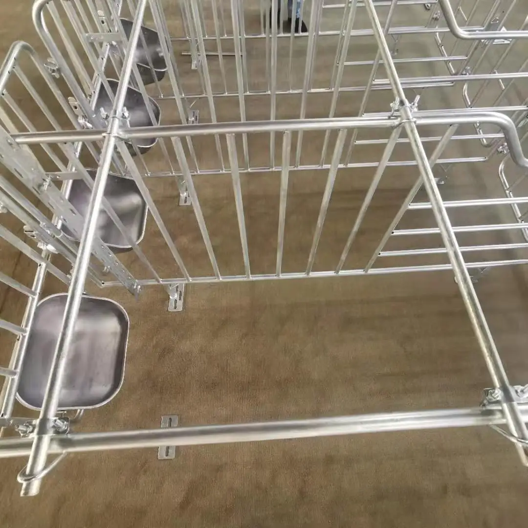 Pig House Farming Equipment Galvanized Sow Gestation Cage / Gestation Pen / Gestation Crate pig barn