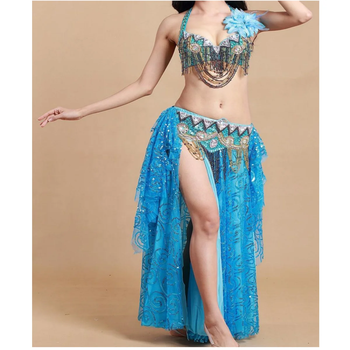 Belly Dance Costume Set for Women Professional Belly Dance Bra and Belt Belly Dancing Skirt Slit Carnival Outfit