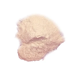 Wholesale White Powder Calcium Phosphate Dibasic  Health Drink Powder for Arelieve Osteoporosis In Old Dogs