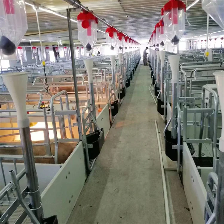 High-Quality Farm Raising Equipment Cast Pen Sow Farrowing Crate Pig Sow Cages