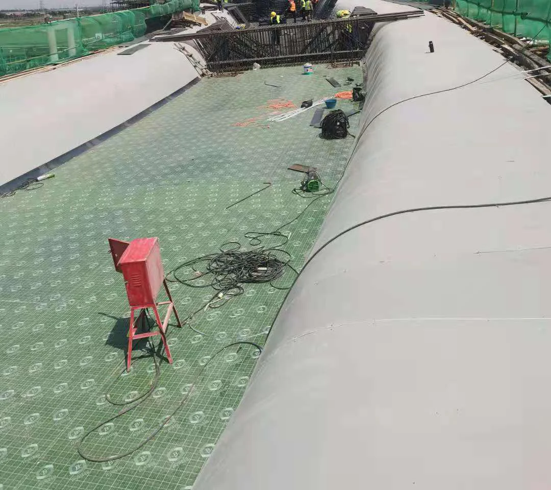  Green color 60 times reuse plastic construction shuttering panels pp concrete