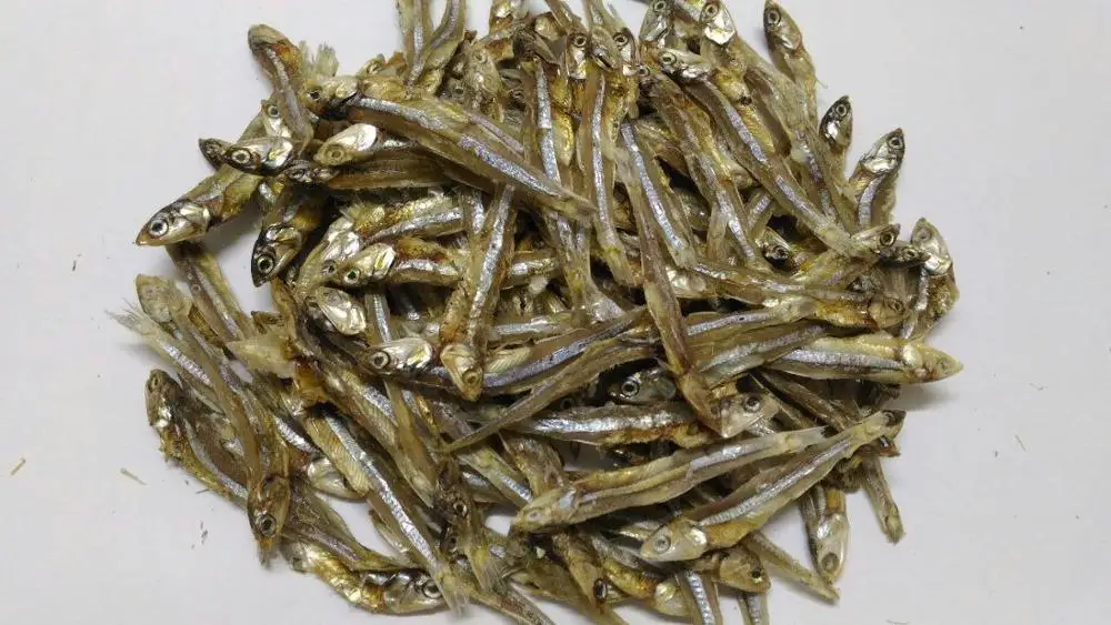 Viet Nam Price Anchovy Fish//Ms KIMMY +84 947032939