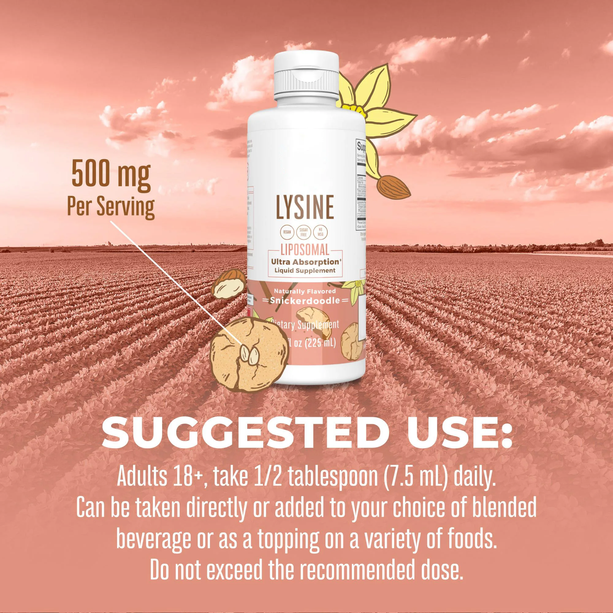 L-Lysine Drop for Immune Support Gluten-free No Sugar L Lysine Liquid Drop