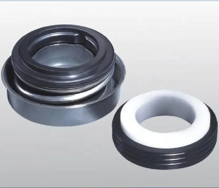 PS 1000 water pump mechanical seal