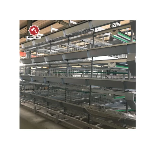 Low cost save space eco-economic H type chicken egg poultry farm design kandang ayam petelur modern