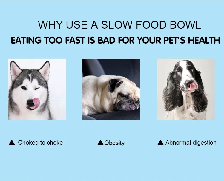 2021 hot sellers Factory Wholesale cheap slow food anti-choke dog bowl folding fun feeder slow bowl