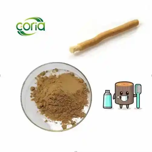 Производитель предоставляет порошок Miswak Salvadora Persica экстракт пищевого класса Hplc лист вакуумный 100% проход 80 сетчатая растворимая вода