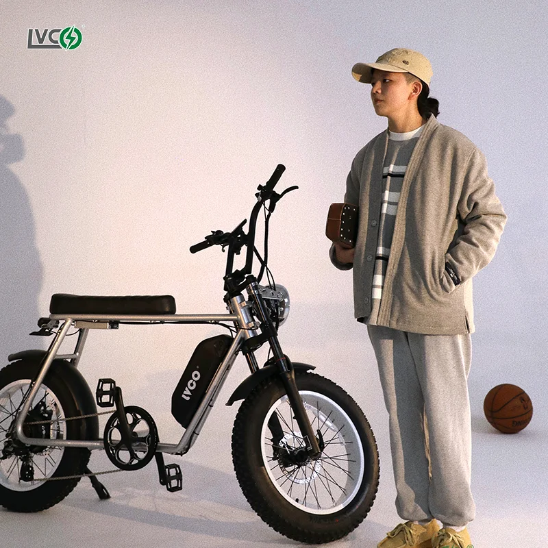 LVCO aluminium frame e bike electric bicycle e-bike 20 inch bicycles electrically bicycle for sale