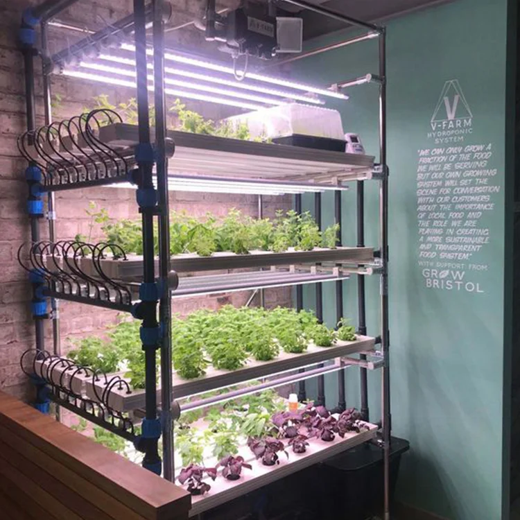 Growing LED Light 39w for planting edible flower or fruit