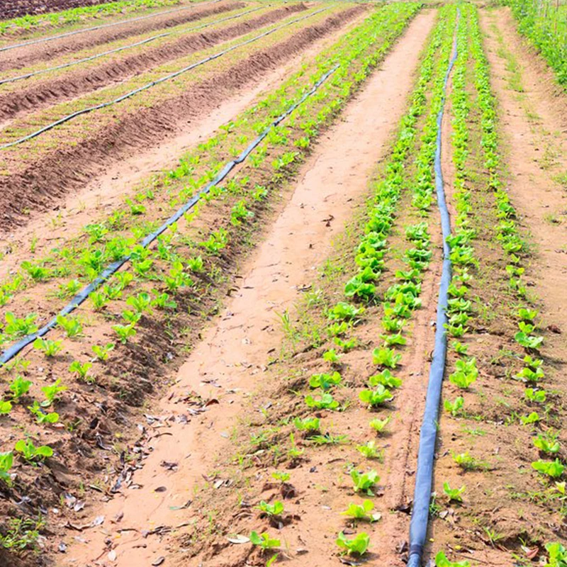 63mm Agricultural Irrigation Layflat Micro Spray Hose Uv-resistant Rain Spray Tube Irrigation Rain Spray Tube