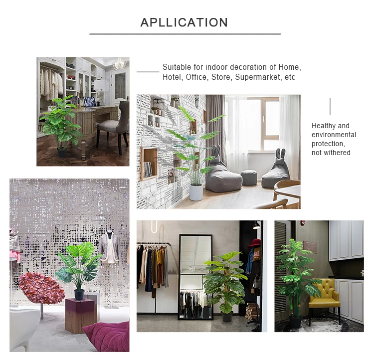 Ornamental Monstera Variegata Natural Plant Indoor Decoration Artificial Dry Tree House Plants