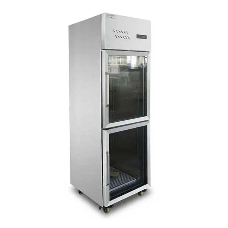 High Quality 2 Door Upright Fridge use for Hotels/Restaurants/Catering Commercial Upright Refrigerator Fridge