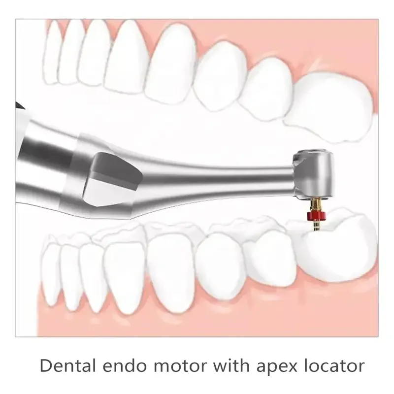 Wireless endo motor with apex locator dental endomotor